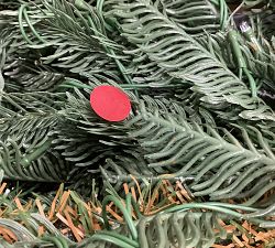 Open Box: Lit Washington Spruce Faux Christmas Tree (6')