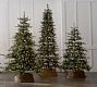 Tree Classics Oregonian Slim Christmas Tree by Balsam Hill