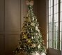 Snowshoe Tree Topper
