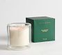 Balsam Fir Vetiver Scent Collection