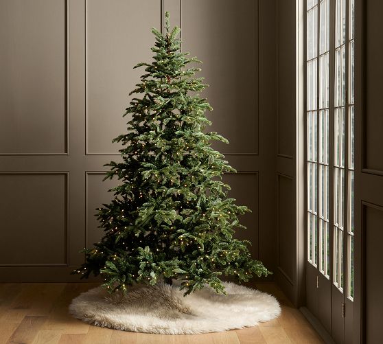 Tree Classics Burke Spruce Christmas Tree