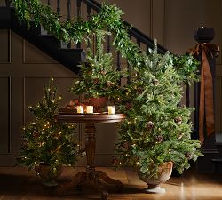 Faux Lit Potted Pinecone Tree