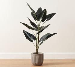 Faux Alocasia Tree - 5'