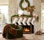 Everson Fireplace Glass Screen