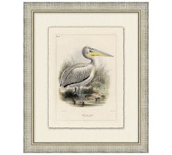 Coastline Birds Framed Print