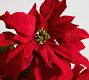 Faux Poinsettia Stem