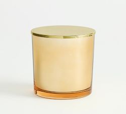Juniper Holly Scent Collection