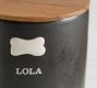 Mason Stoneware Pet Treat Canister