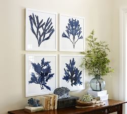 Framed Coral Prints - Indigo