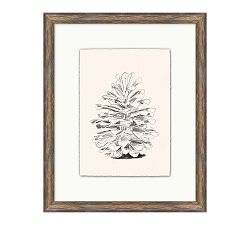Conifer Cone Framed Print