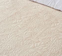Coral Coverlet