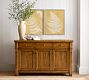 Sun Fern  Framed Print
