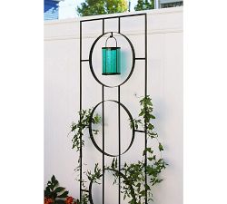 Theodora Trellis