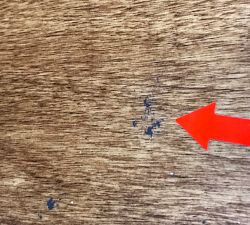 Open Box: Farmhouse Ledge (6"D x 48"W) - Aged Oak