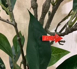 Open Box: Faux Bay Leaf Branch (60"L) - Green