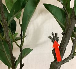 Open Box: Faux Bay Leaf Branch (60"L) - Green