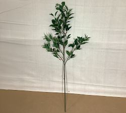 Open Box: Faux Bay Leaf Branch (60"L) - Green