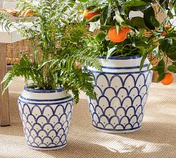 Mark D. Sikes Clementine Cachepots