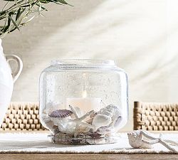 Mixed Shells Vase Filler
