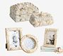 Shell Collector Gift Bundle