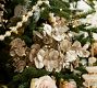 LoveShackFancy Gold Leaf Tree Pick