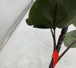Open Box: Faux Baby Blue Eucalyptus Branch (45")
