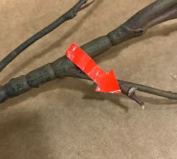 Open Box: Faux Chocolate Berry Branch (48")
