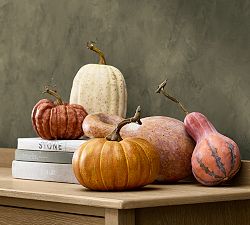 Faux Pumpkins &amp; Gourds - Set of 5
