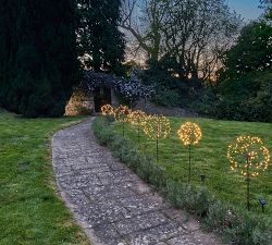 Solar Outdoor Lit Dandelion LED Lawn Stakes