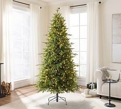 Tree Classics by Balsam Hill Addison Spruce Christmas Tree with Lights