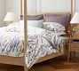 Monique Lhuillier Provence Percale Pillowcases - Set of 2